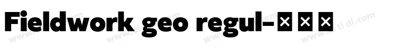 Fieldwork geo regul字体转换